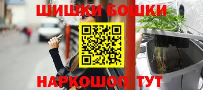эйфоретик Гай