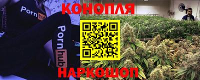 индика Гусиноозёрск